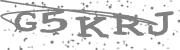 Type the letters in the image or Type the first letter of the words spoken in the audio.