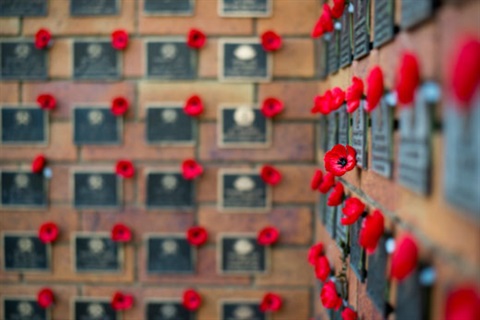 Anzac wall 2025