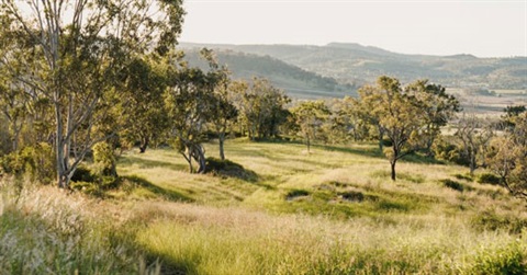 Cranley Park Your Say 2025