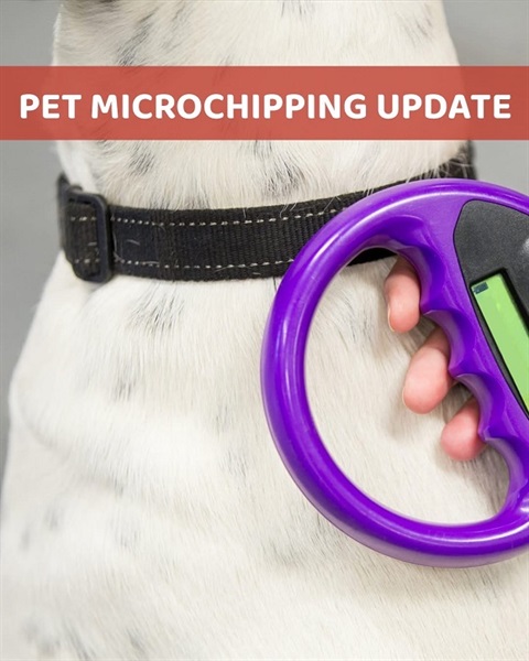 Microchipping update