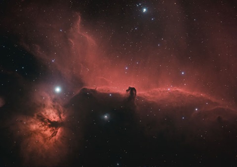 PaulKnieHorsehead2026Web.jpg