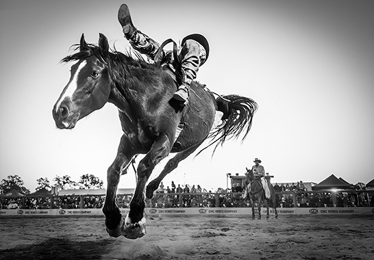 Melanie Emeny photograph Bucking Hell