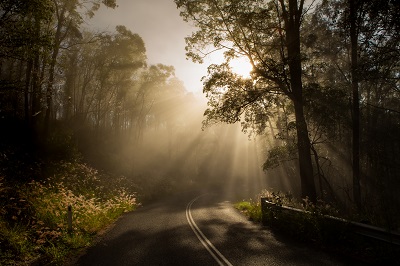 lakepersevaranceroad