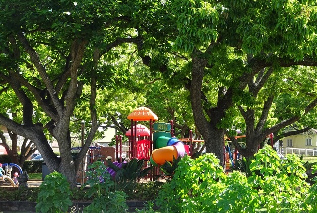 Laurel Bank Park playground