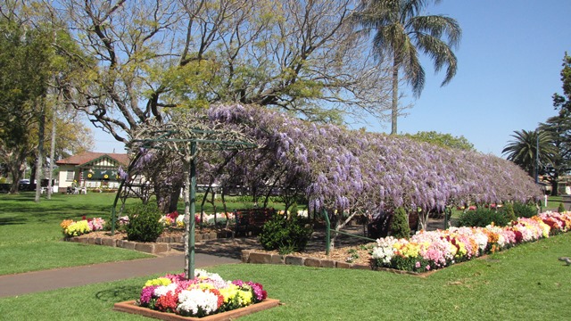 Laurel Bank Park Wisteria Walk and flower arch