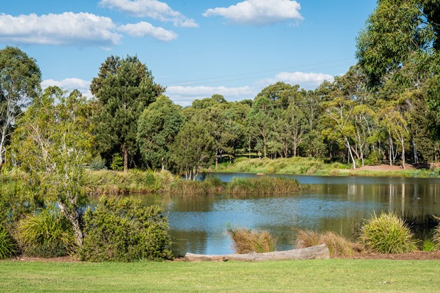 murrayclewettpond