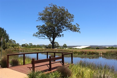 Peacehaven Lake with viewing platform and view of the lake