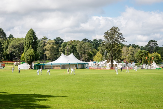 queensparkfrogshollowdisplayandcricketgame.