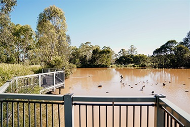 Toowoomba-Waterbird-Habitat4.jpg