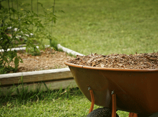 Wheelbarrow