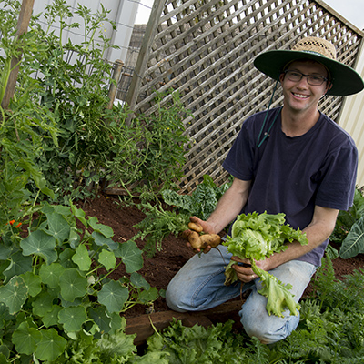 Growing vegetables discount
